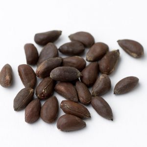 cotton-seeds-martin-shields
