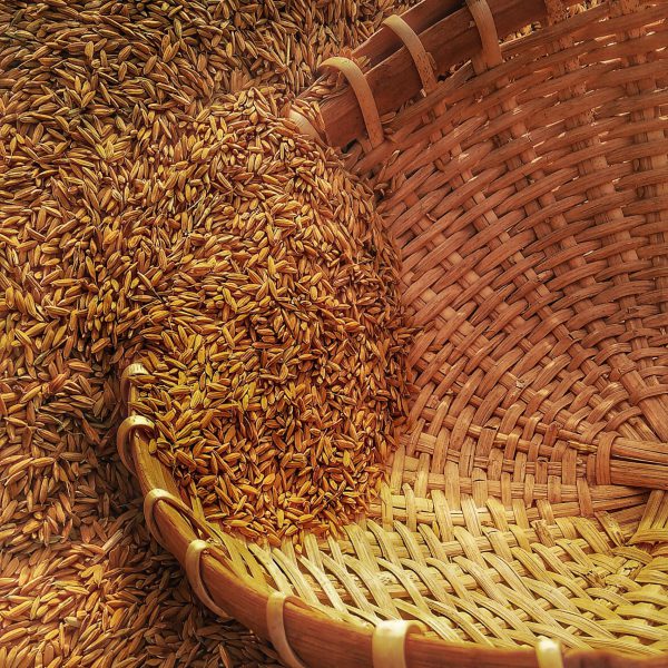 shalitha-dissanayaka-wqb_dTZCNys-unsplash