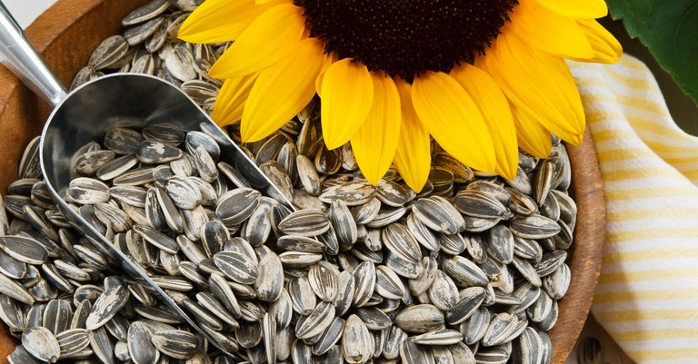 organic-sunflower-seeds.jpg__768x768_q85_subsampling-2