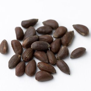 cotton-seeds-martin-shields